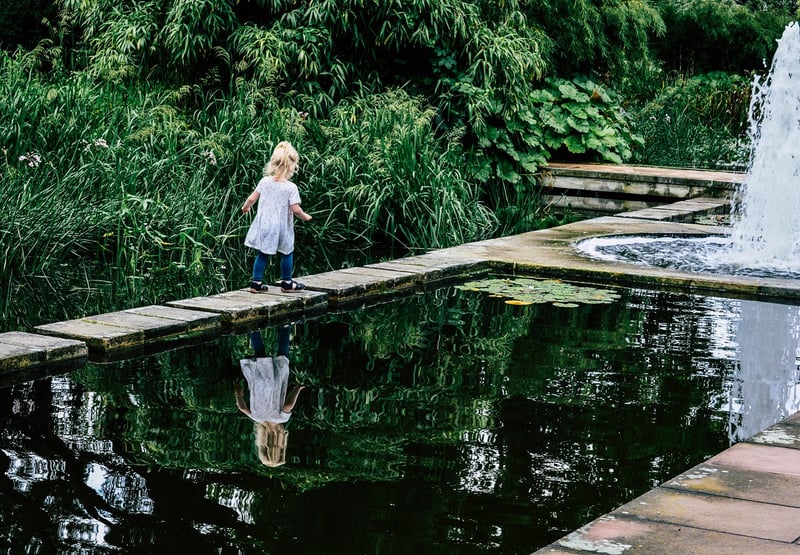 Mindful Stepping